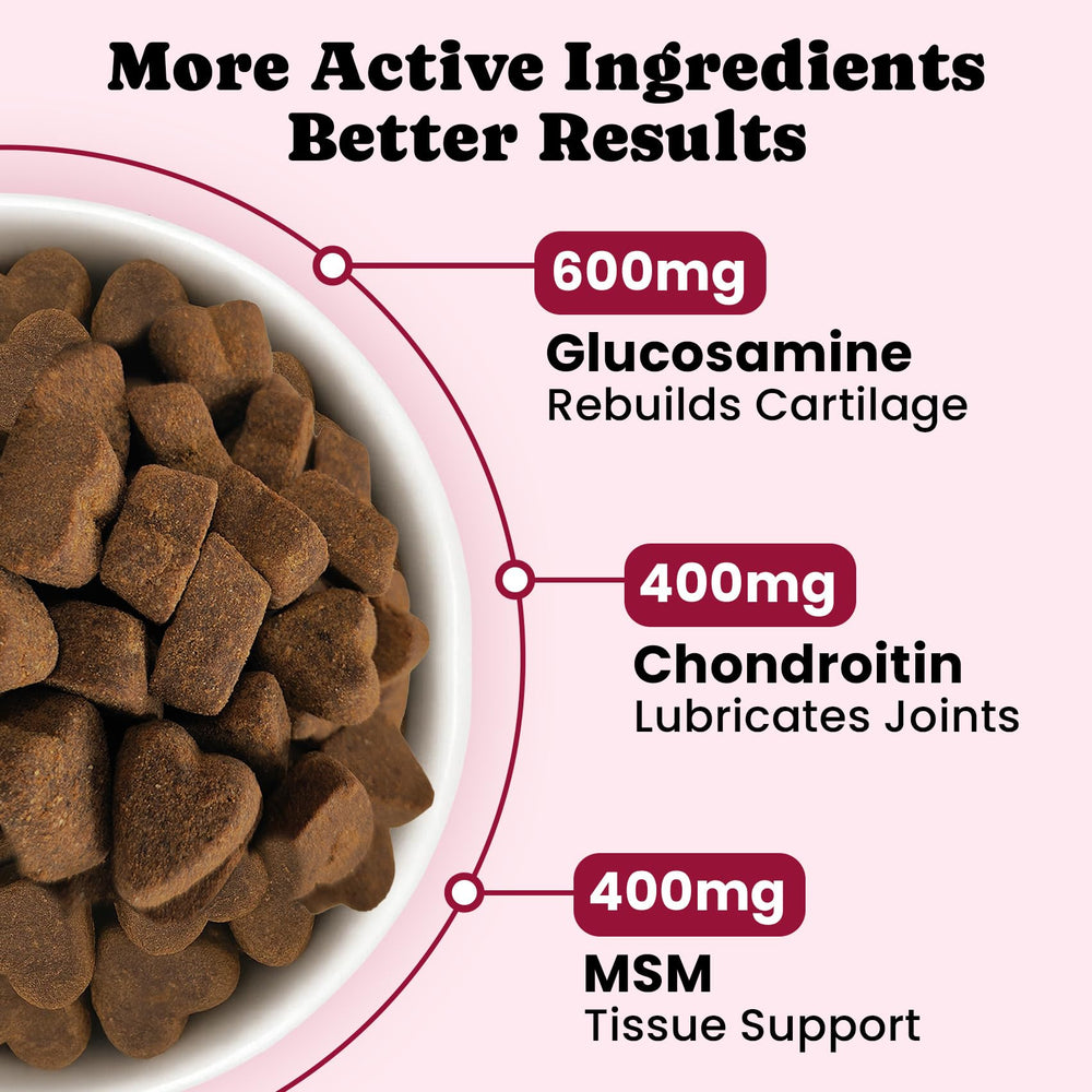 BuddyCheer soft chews closeup highlights tasty texture and palatable option for daily use