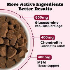 BuddyCheer soft chews closeup highlights tasty texture and palatable option for daily use