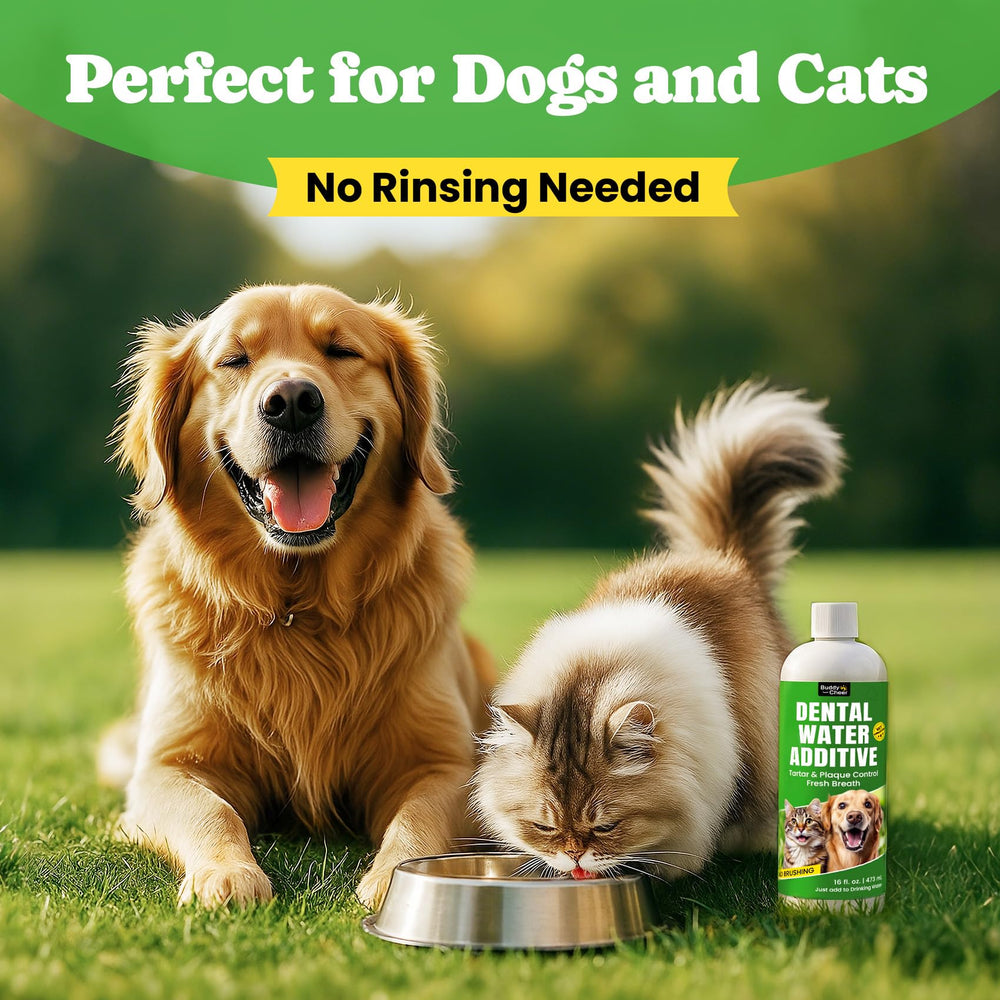 BuddyCheer veterinarian-recommended formula for pet-safe use without alcohol or harsh chemicals