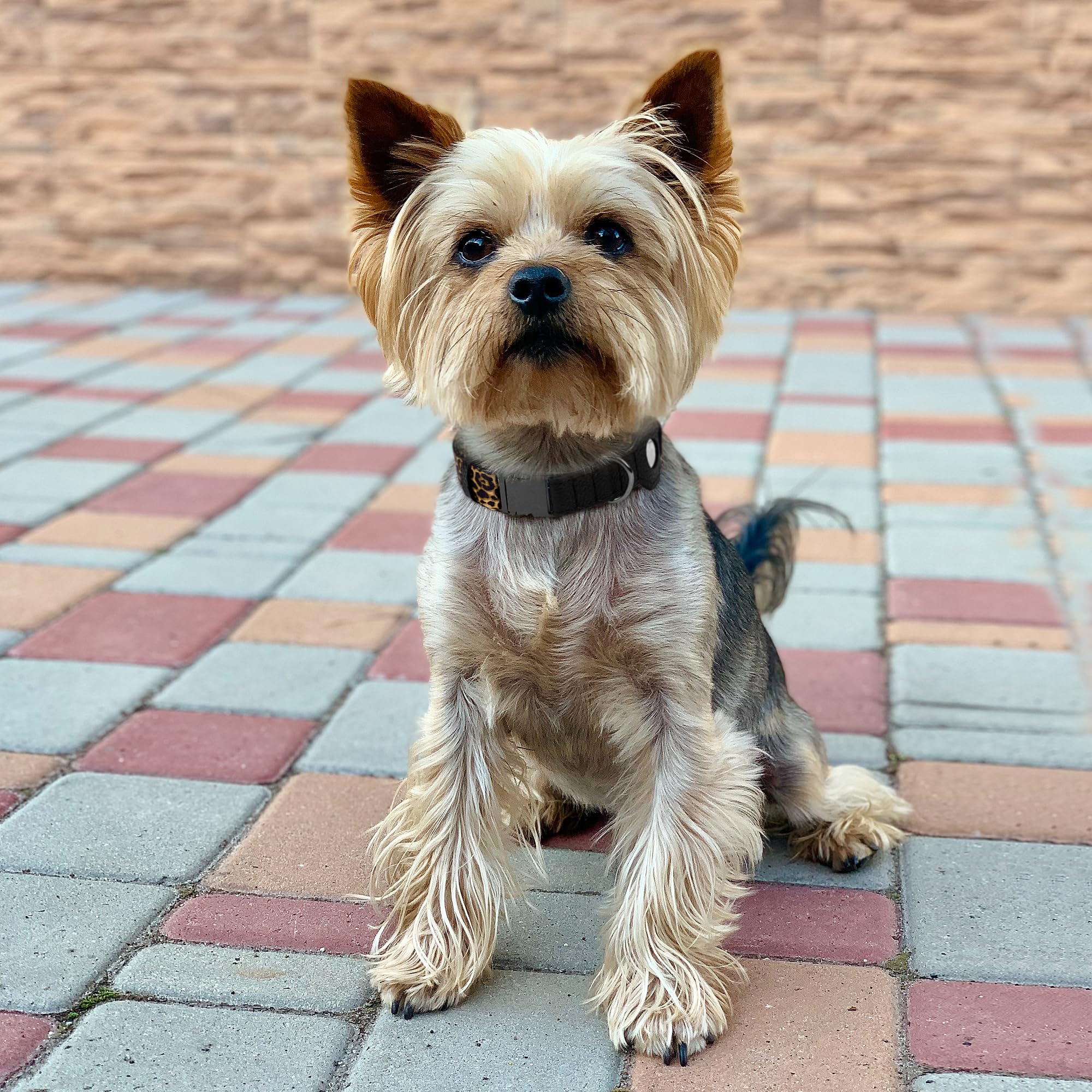 BUDKAS AirTag dog-collar floral pattern complements looks while enabling Find My tracking