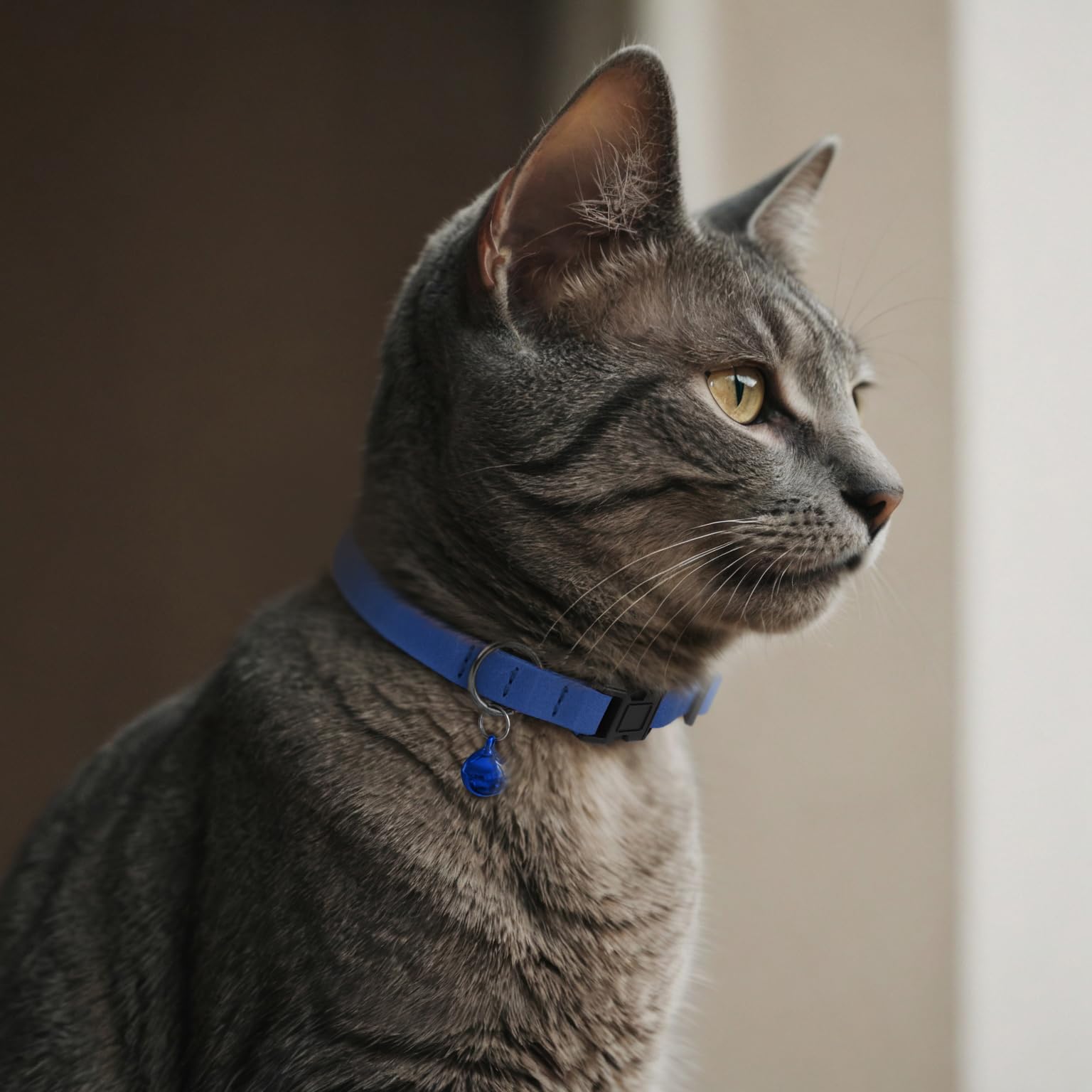 BUDKAS Breakaway Cat Collar Leather Graphite with Removable Bell for modern, lightweight wear.
