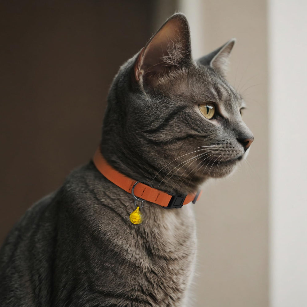 BUDKAS Breakaway Cat Collar Leather Orange with Removable Bell adds vibrant daytime visibility.