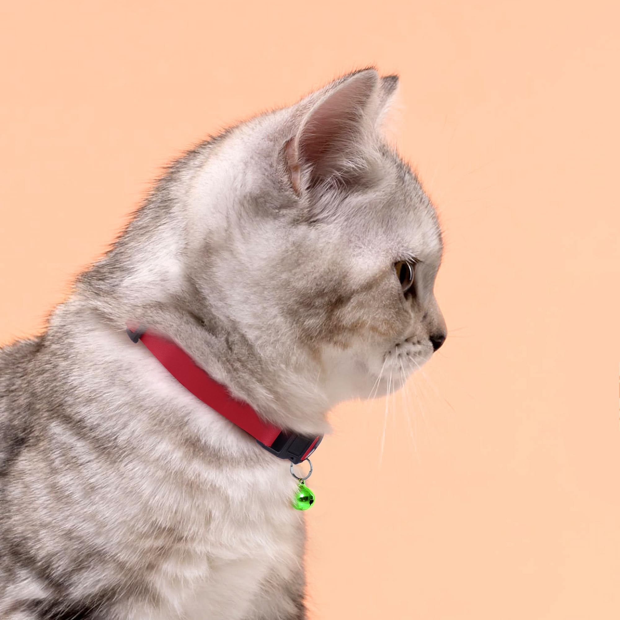 Budkas cat-collar-12-colors-red-option showcases vibrant color choices for personality.