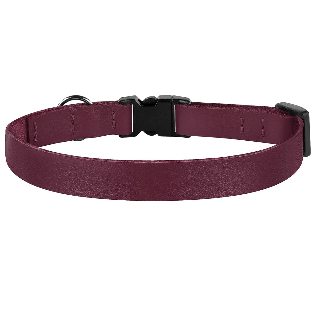 Budkas adjustable kitten collar fits 8-12 inches as pets grow