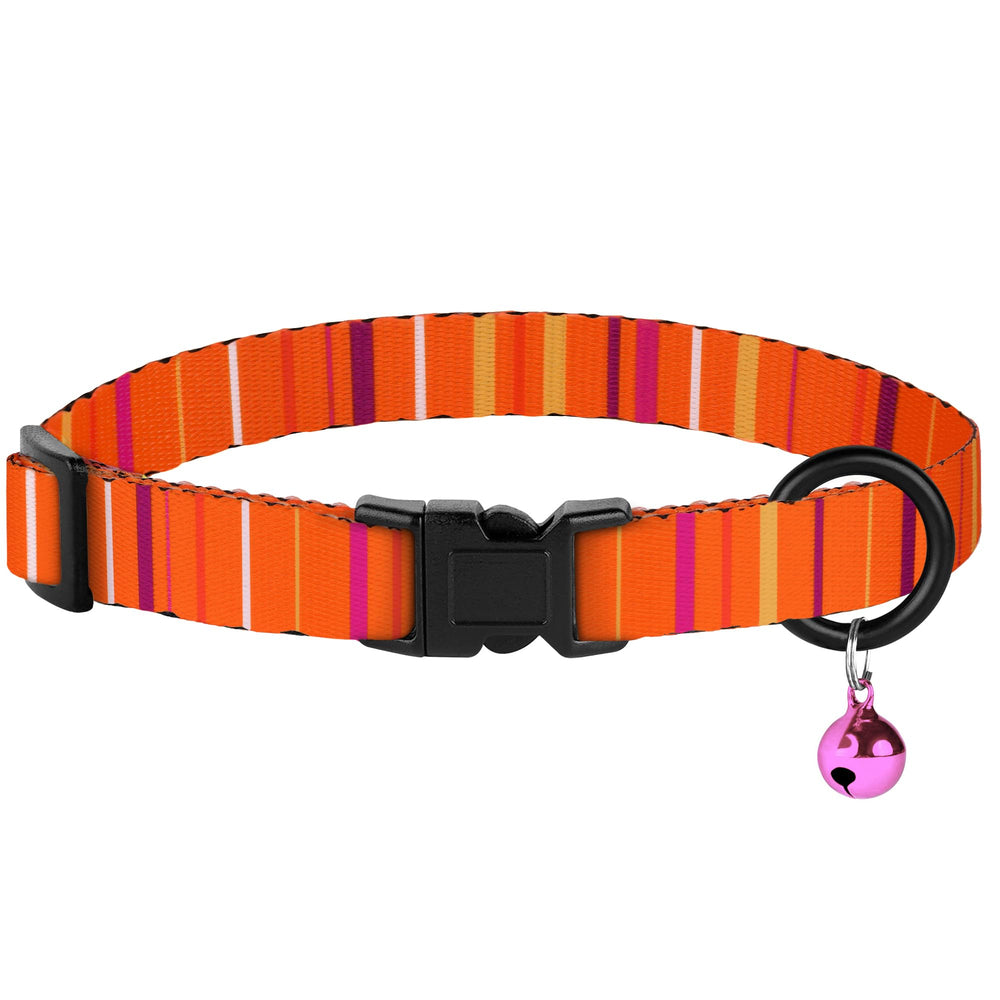 BUDKAS mix-and-match four-collar pack for easy style coordination