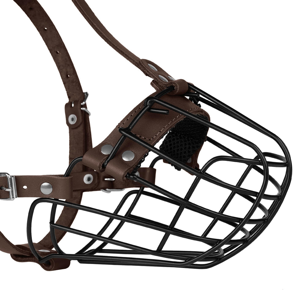 BUDKAS Pitbull Muzzle worn during walks supports controlled behavior and safer outings.