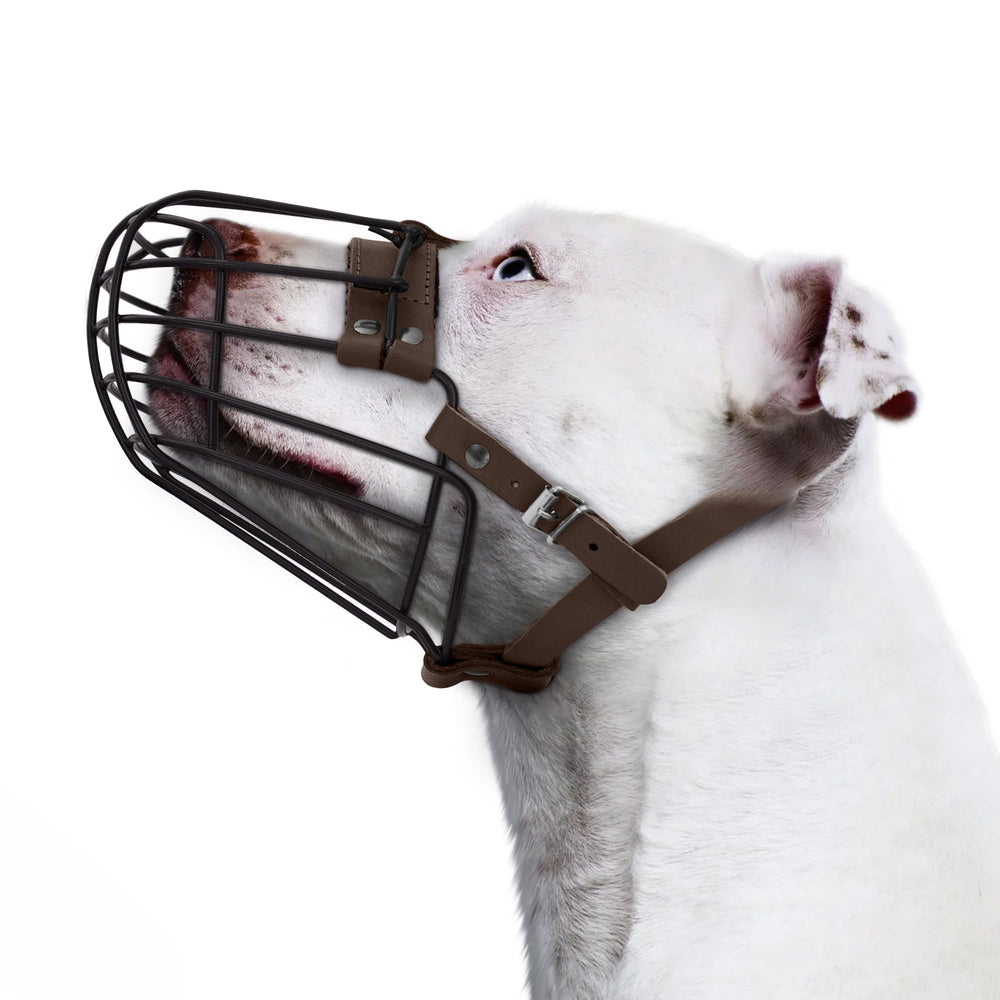 BUDKAS Pitbull Muzzle durable hardware emphasizes long-lasting performance on strong dogs.