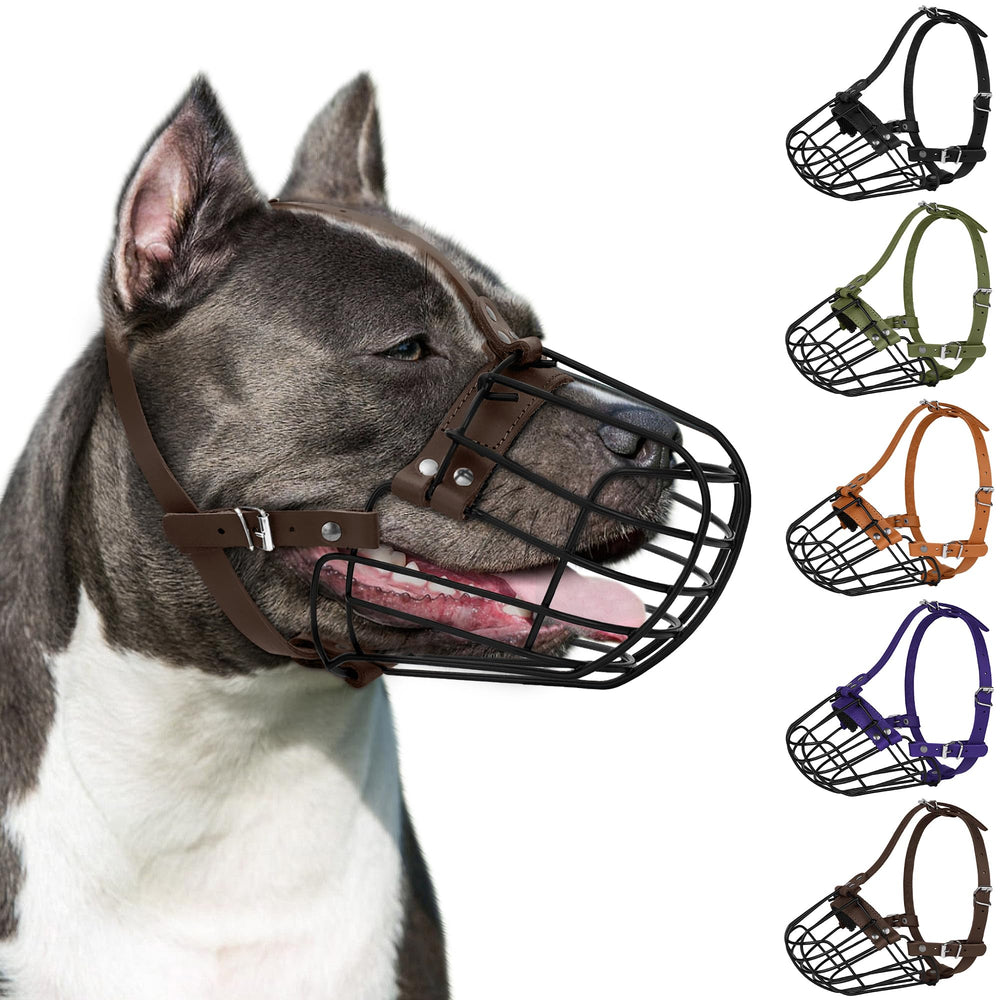 BUDKAS Pitbull Muzzle secure control design supports responsible training and public safety.