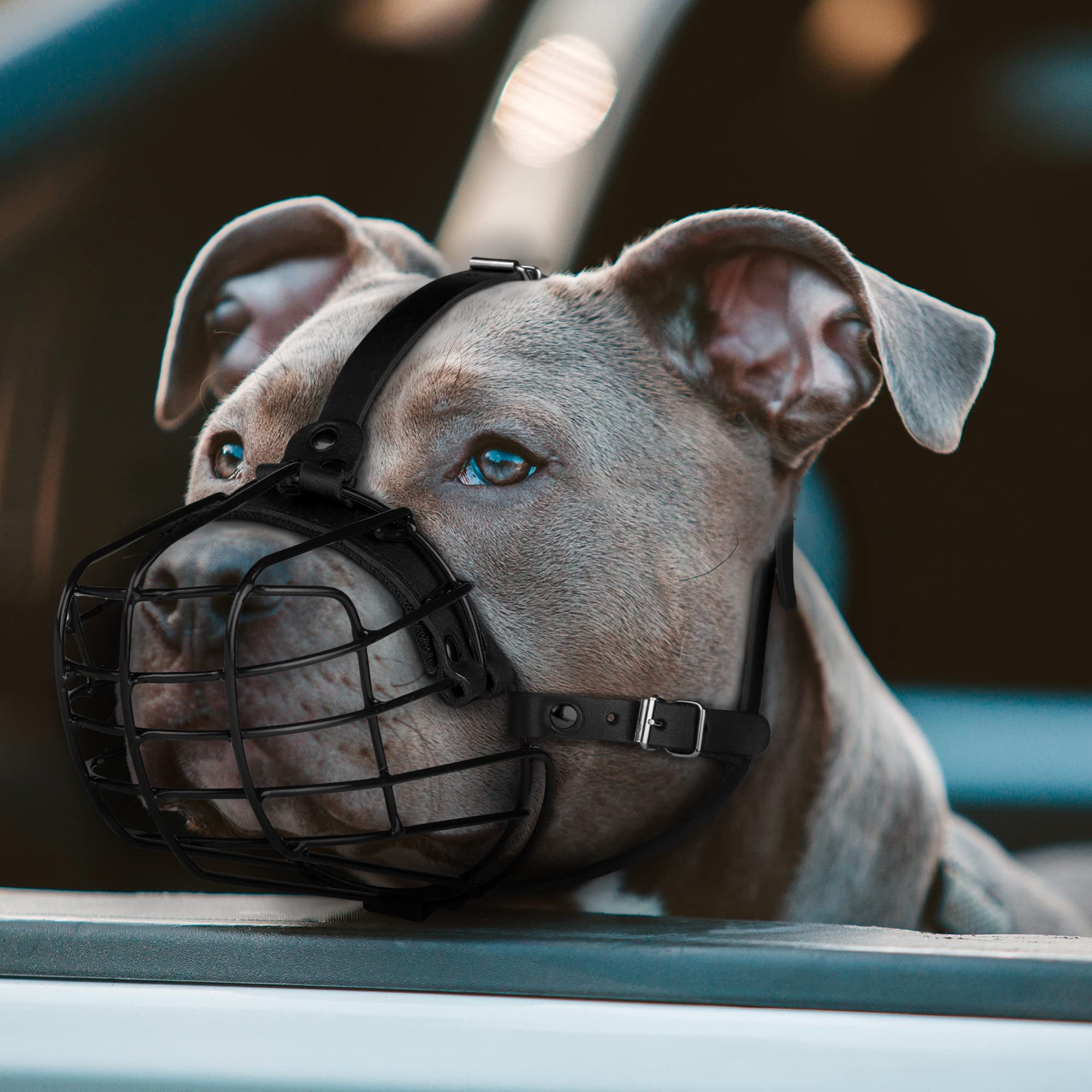 BUDKAS Pitbull Muzzle strap dark brown provides durable grip