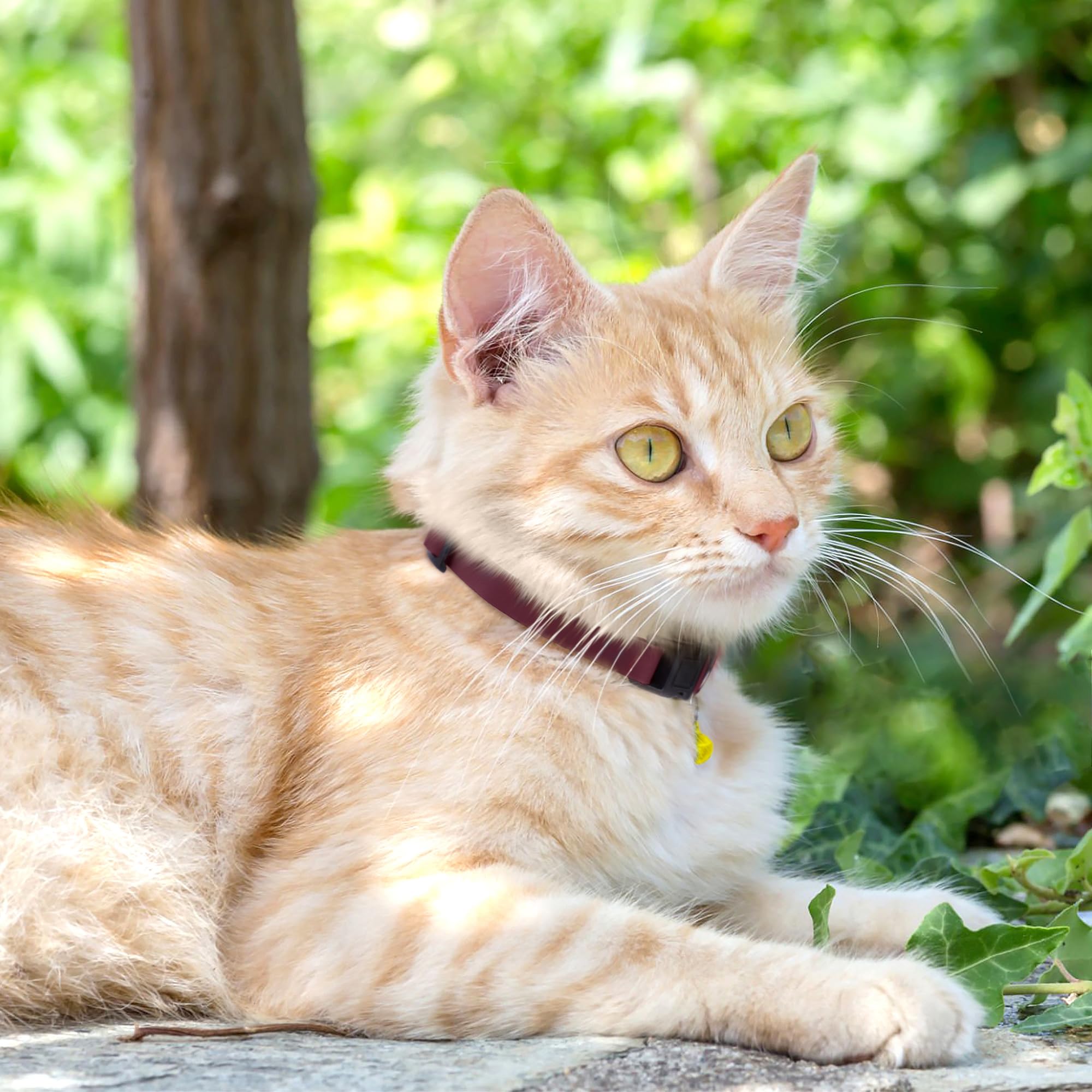 Budkas cat collar with removable bell lets you locate pets quietly