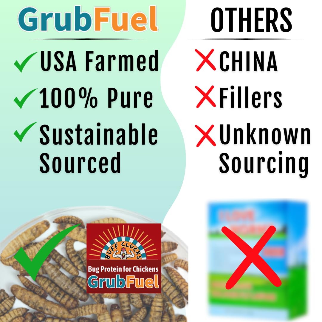 Buff Clucks Grub Fuel BSFL calcium-rich snack; may support eggshell strength.