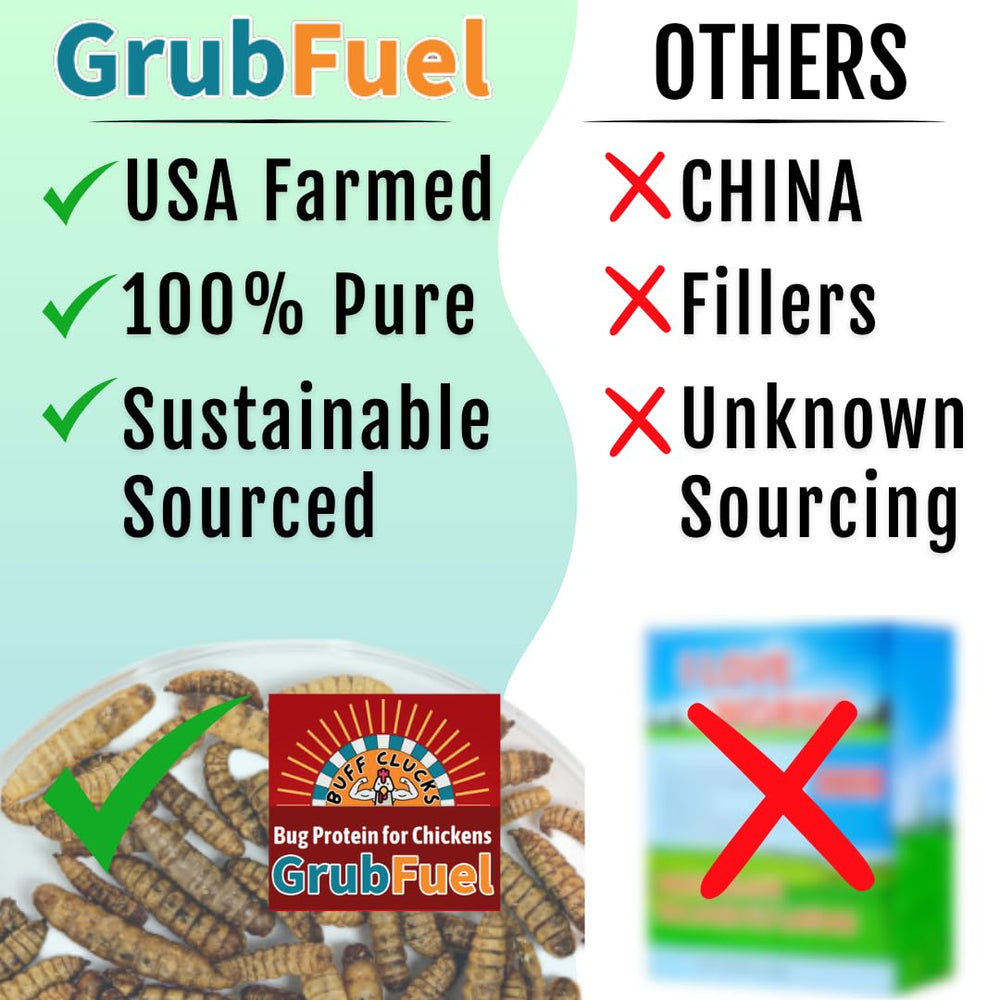 Buff Clucks Grub Fuel BSFL calcium-rich snack; may support eggshell strength.