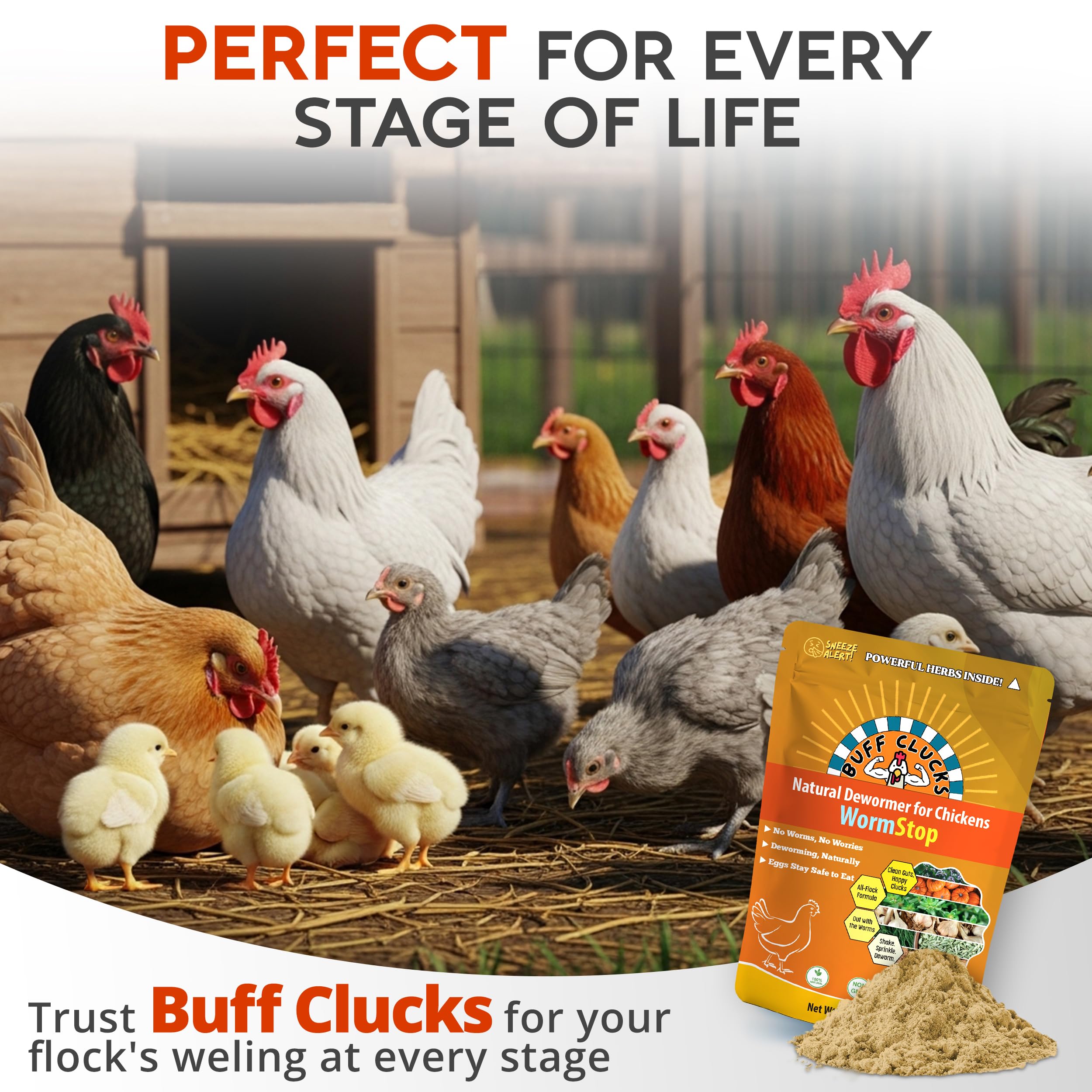 Buff Clucks WormStop in action inside a poultry coop for daily care