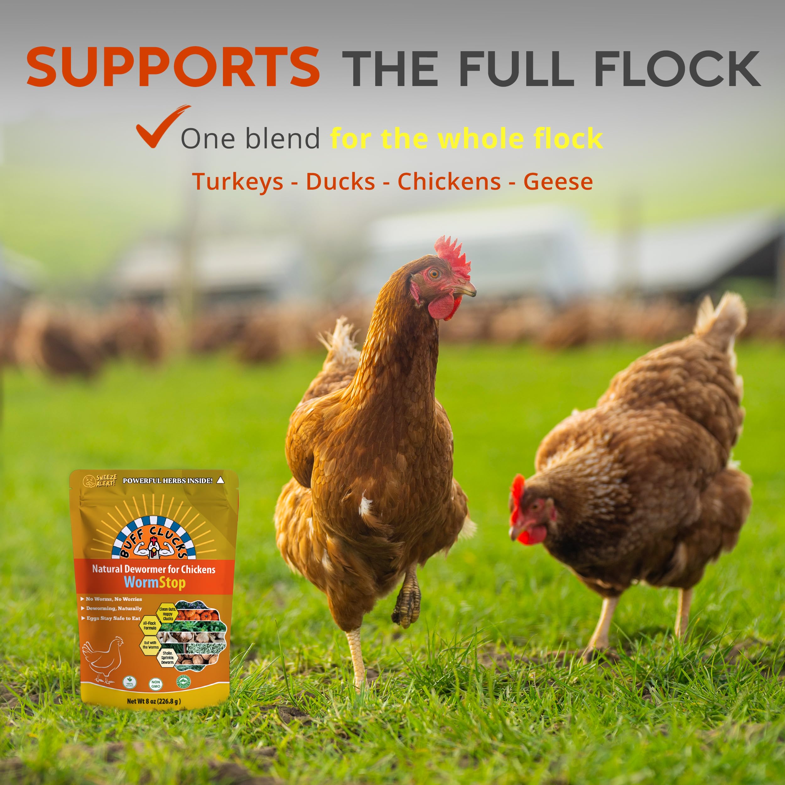 Buff Clucks WormStop USA-made packaging highlights culinary-grade herbs
