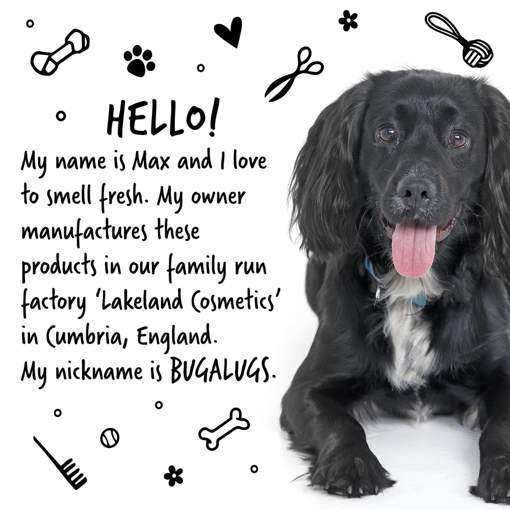 BUGALUGS coconut-oil sheen highlights coat luster after bath.