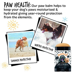 Bugalugs nose balm on dog's nose for soothing dryness