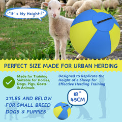 BUGARORE dog ball for agility training in action.