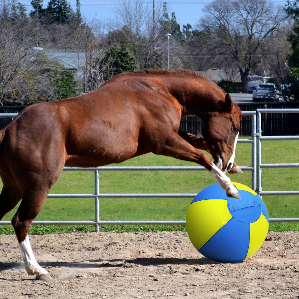 BUGARORE 18-inch option for dogs and horses offered.