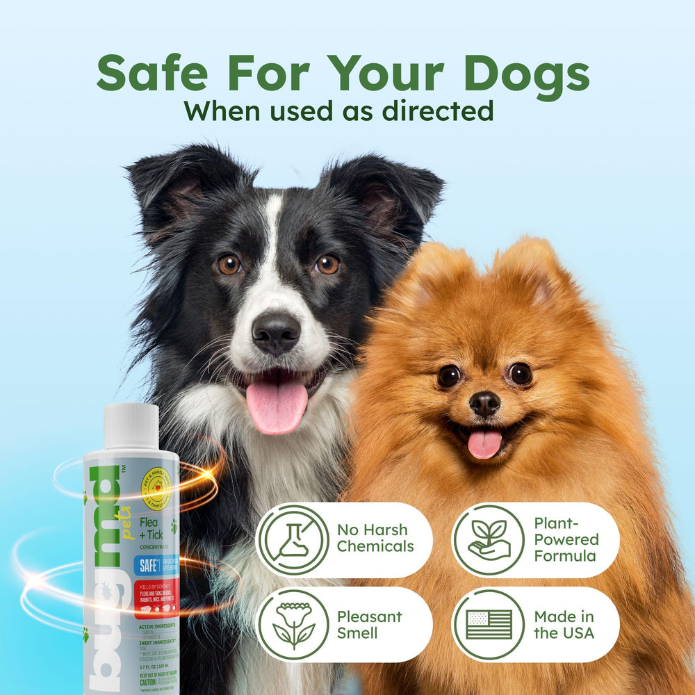 BugMD bedding laundry additive used to control fleas in fabrics.
