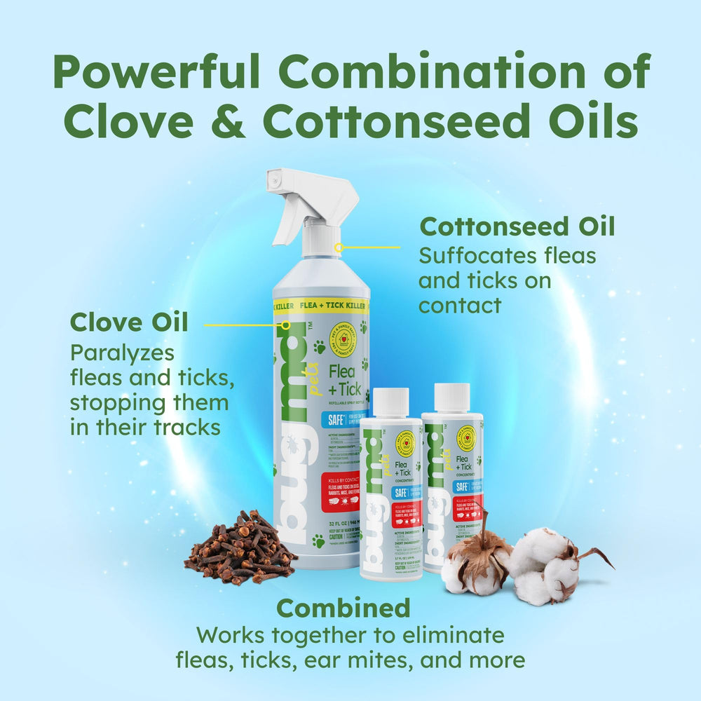 BugMD concentrate dilution action with measurement cup for efficient mixing.