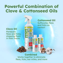 BugMD concentrate dilution action with measurement cup for efficient mixing.