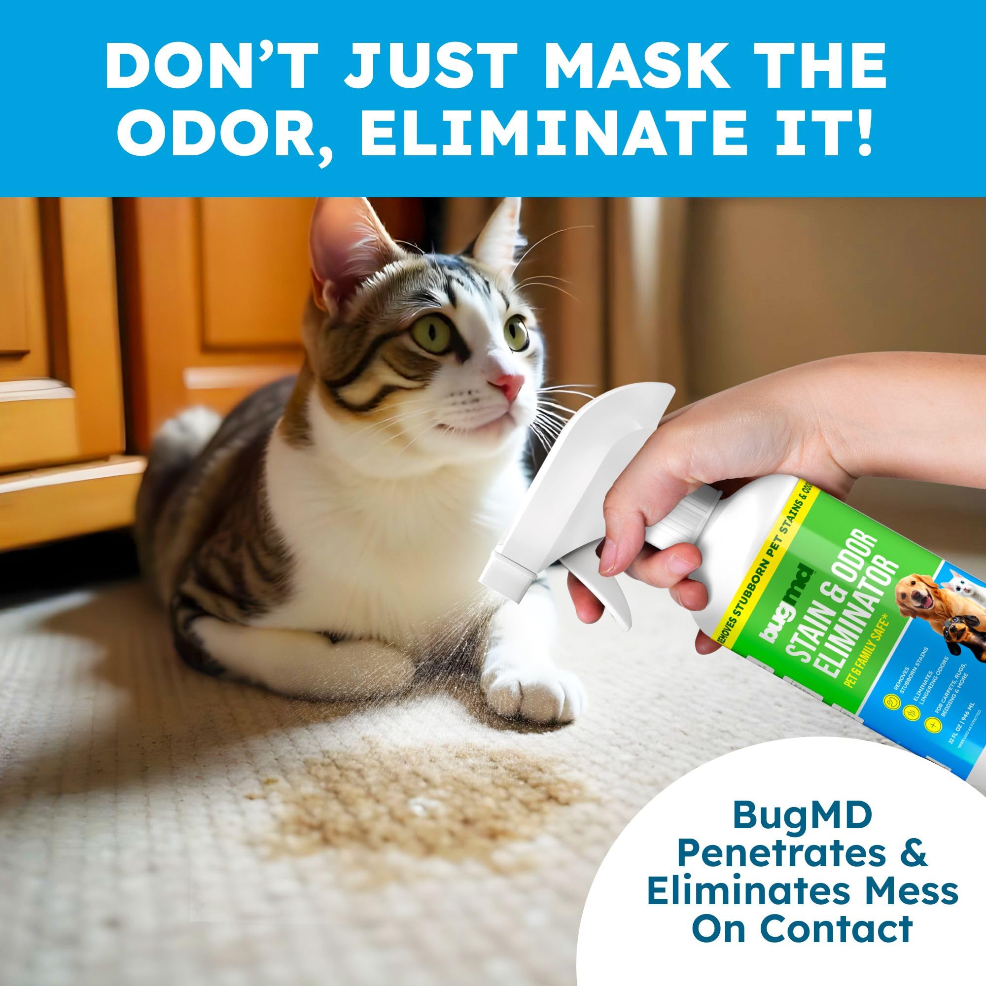 BugMD enzyme cleaner-ready-to-use: ready-to-use spray to tackle messes quickly.