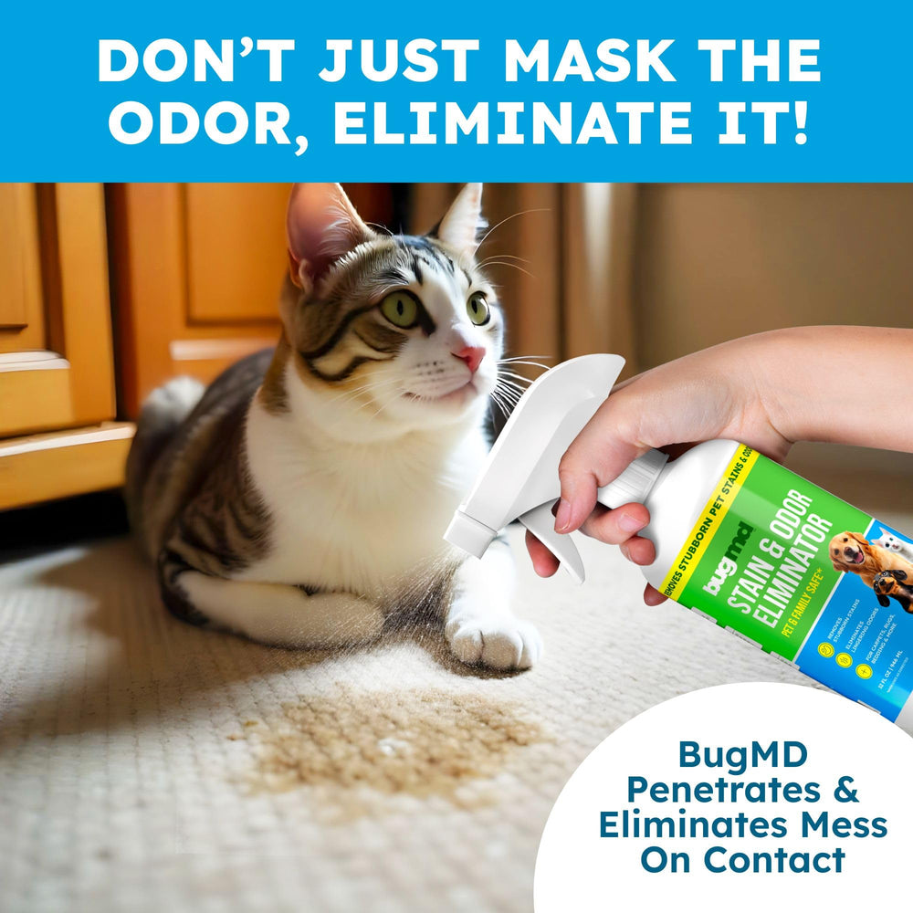 BugMD enzyme cleaner-ready-to-use: ready-to-use spray to tackle messes quickly.