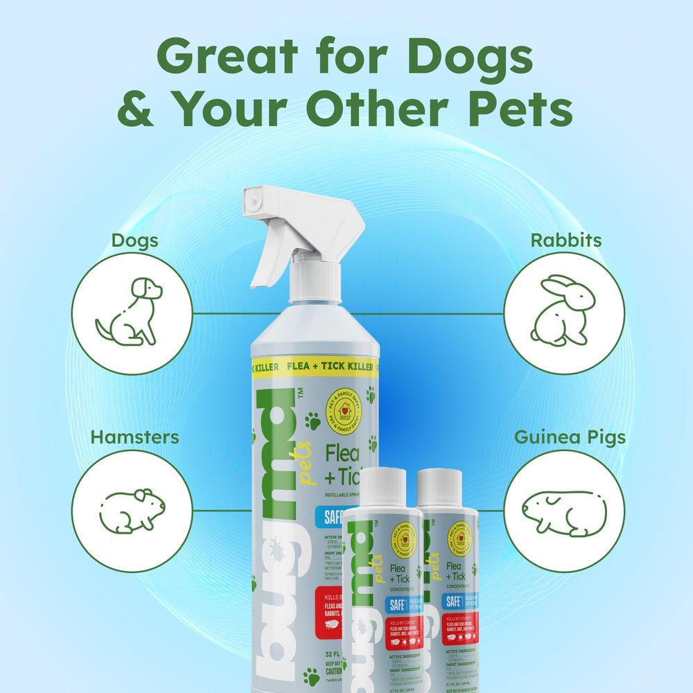 BugMD indoor-outdoor use scene showing versatile flea and tick control.