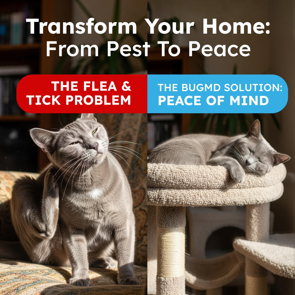 BugMD pet safe flea spray cedarwood-infusion emphasizes natural plant-powered formula.
