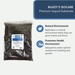 Bugzy Bugs Isopod Substrate in terrarium demonstrates a healthy micro-ecosystem