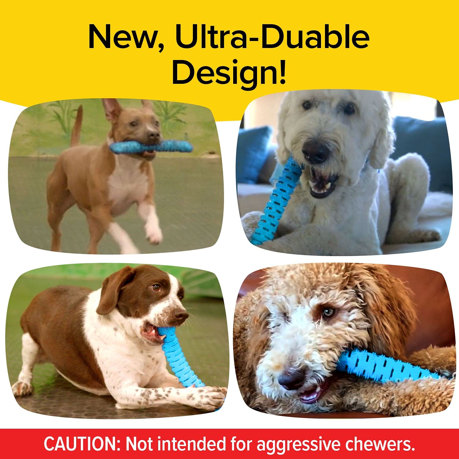 BulbHead BrushBone dog-chew play scene emphasizes mess-free dental entertainment.