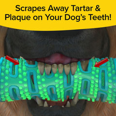 BulbHead BrushBone hidden bristles illustrate secondary cleaning while dog chews.