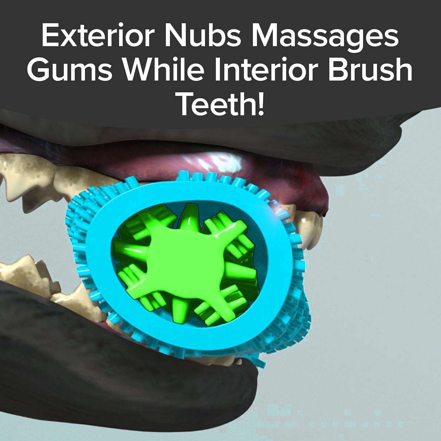 BulbHead BrushBone tooth-shaped openings reveal plaque-scraping design for dental play.