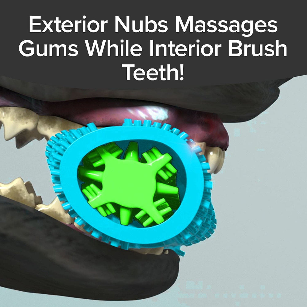 BulbHead BrushBone tooth-shaped openings reveal plaque-scraping design for dental play.