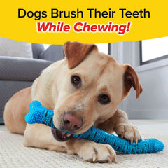 BulbHead BrushBone treat dispenser image highlights built-in rewards to motivate chewing.