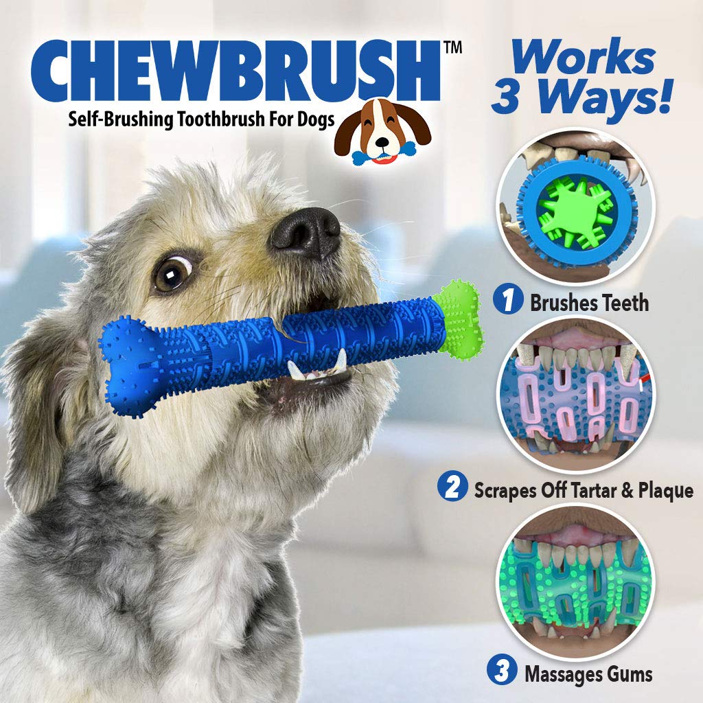 BulbHead Chewbrush bone design highlights a playful toy that cleans teeth