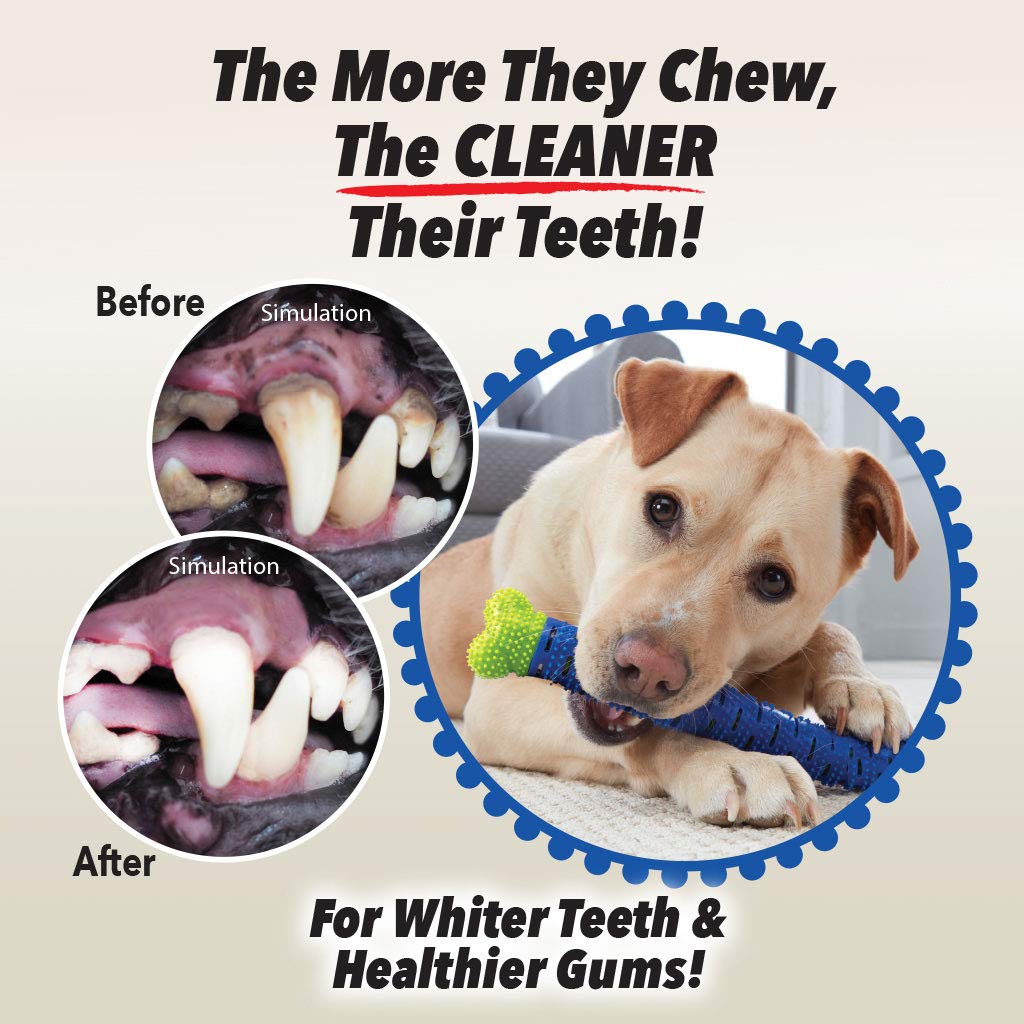 BulbHead Chewbrush supports dental hygiene through regular at home chewing sessions