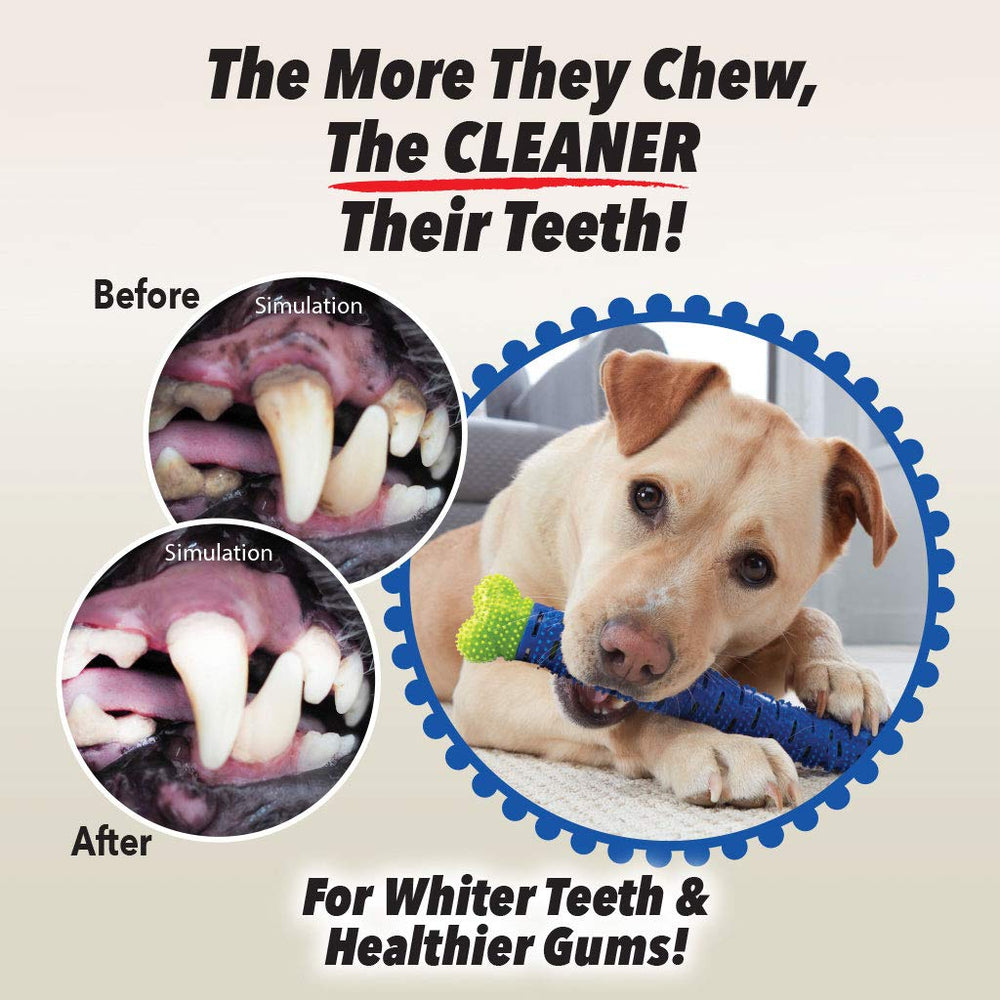 BulbHead Chewbrush supports dental hygiene through regular at home chewing sessions
