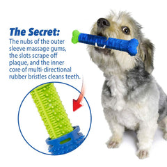 BulbHead Chewbrush gums massage nubs gently stimulate gums during chews