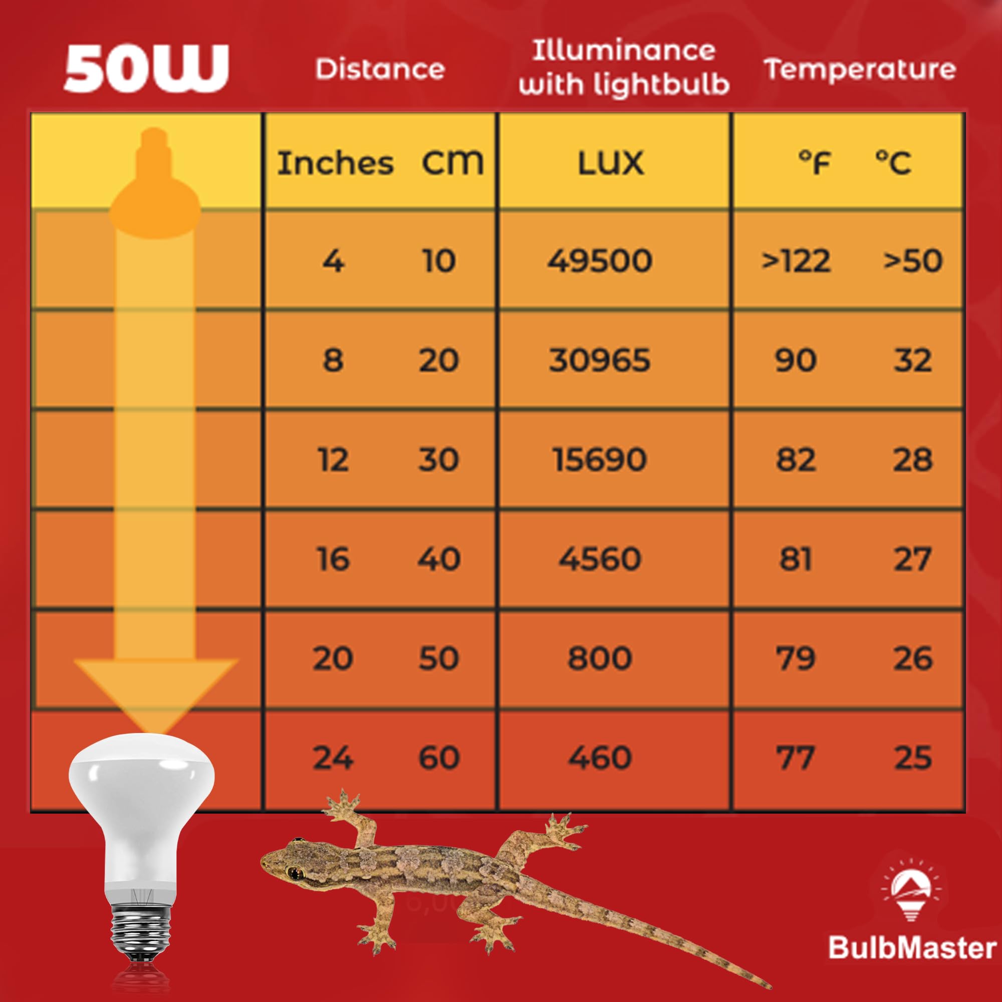 BULBMASTER heat lamp dimensions show compact size for quick installs.