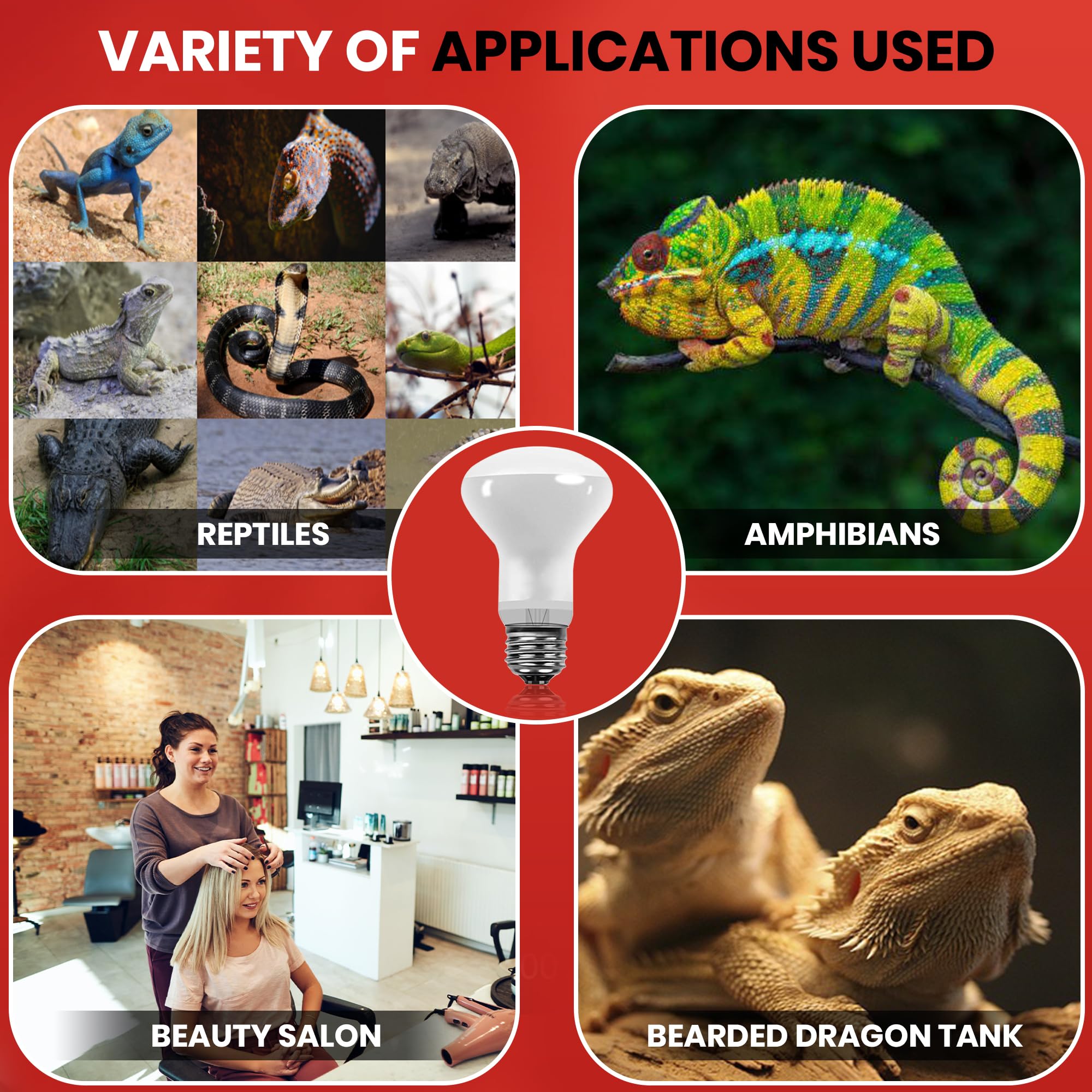BULBMASTER snake reptile terrarium light offers UVA warmth for daytime activity.
