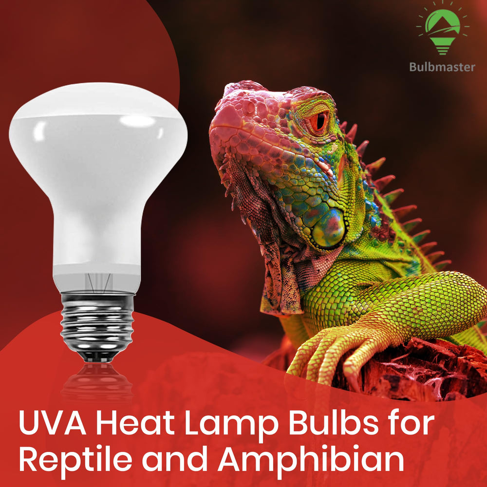 BULBMASTER turtle basking spot light delivers comfortable heat for turtles.
