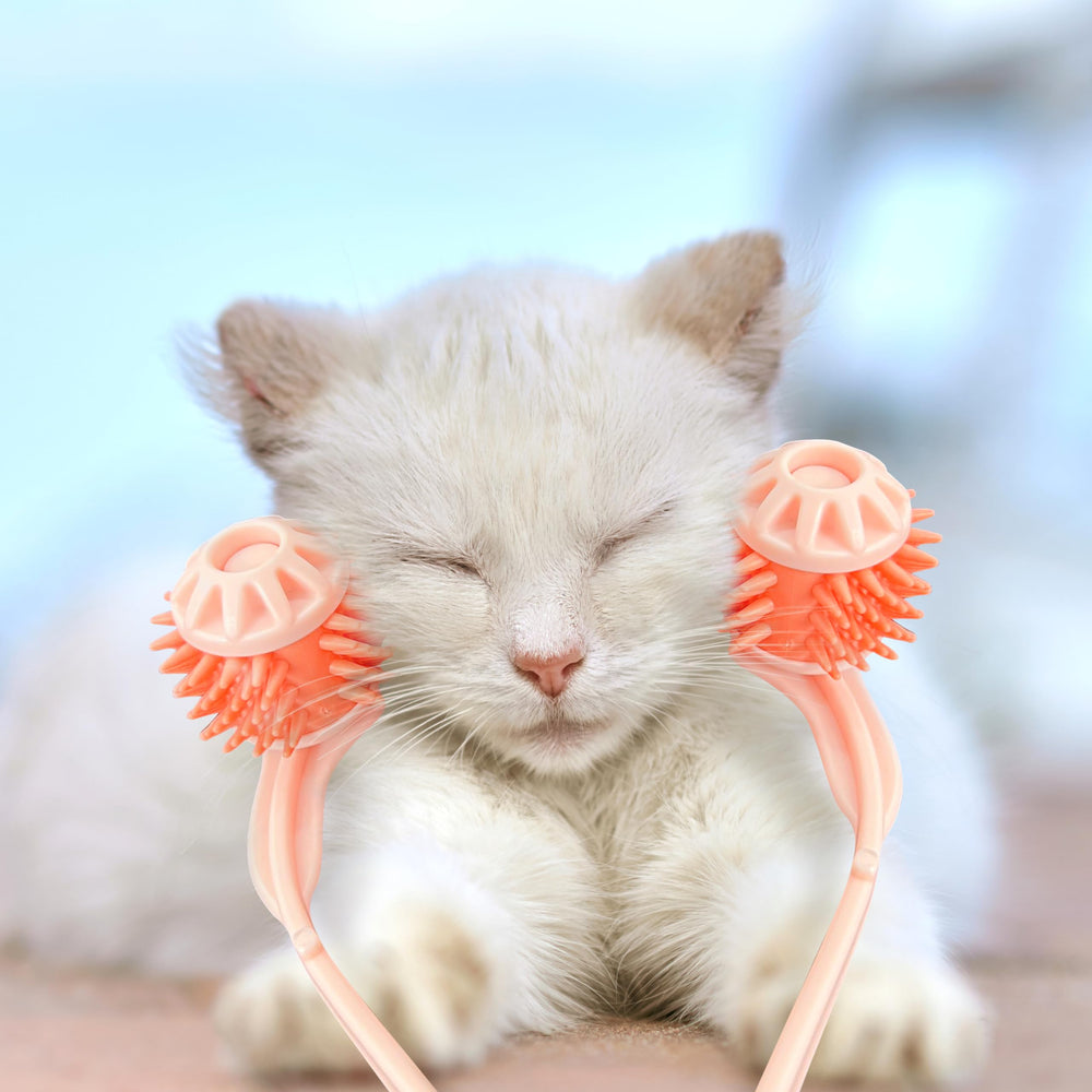 BuleVina cat massager roller straight-on view illustrates easy positioning for calming sessions.