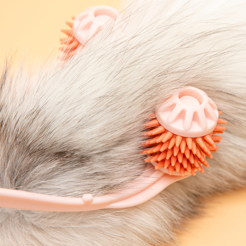 BuleVina massage roller packaging image communicates safe, ready-to-use grooming tool.
