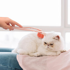 BuleVina roller neck massage action demonstrates versatile use on pets' upper bodies.