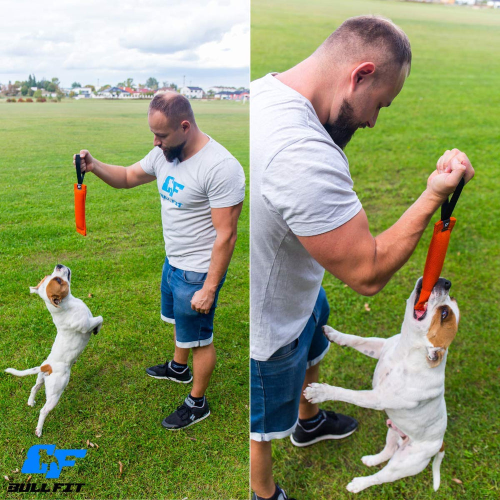 Bull Fit K9 Bite Tug Toy training interaction scene emphasizes handler-controlled tug play.