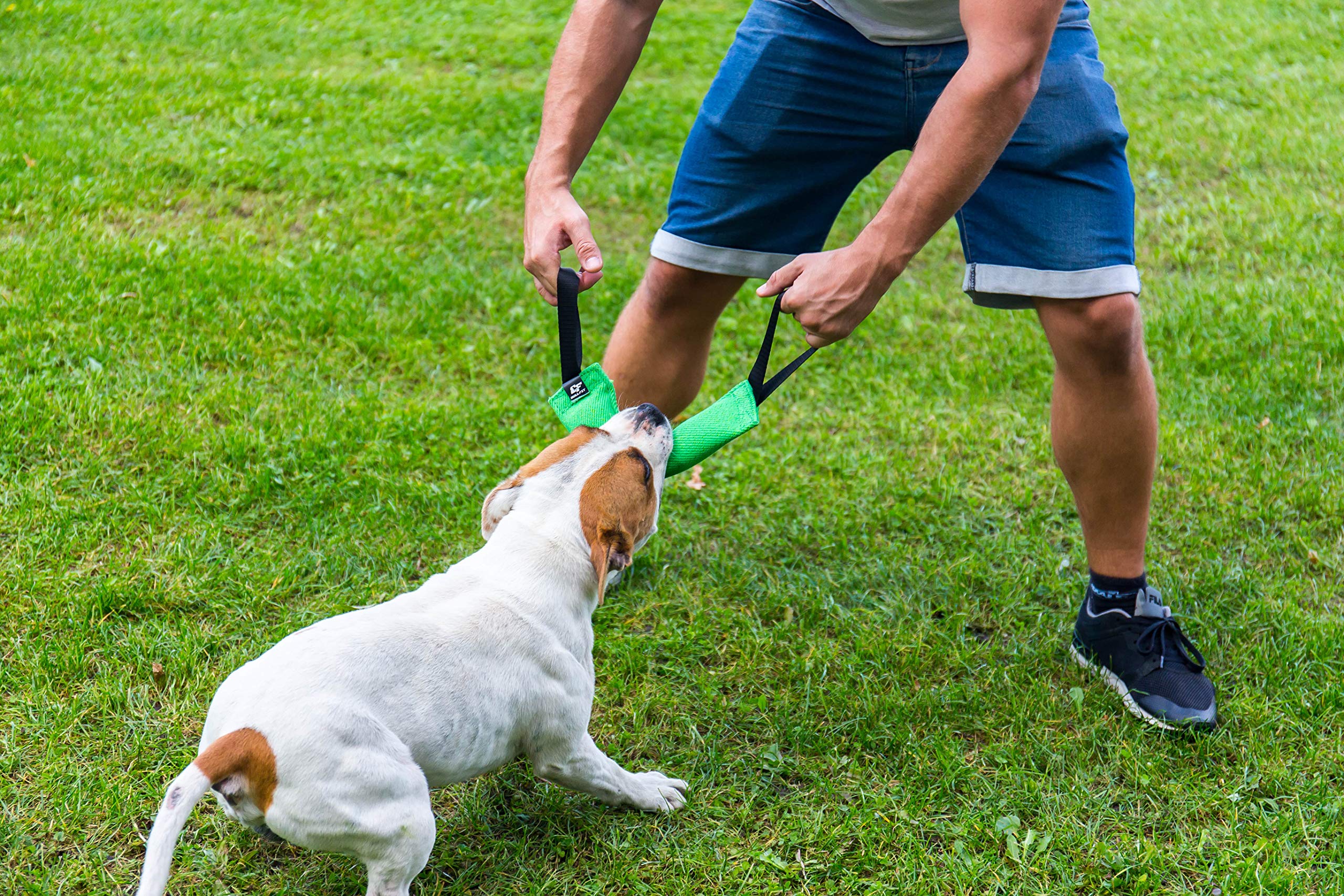 Bull Fit K9 bite tug for fetch and tug-of-war sessions