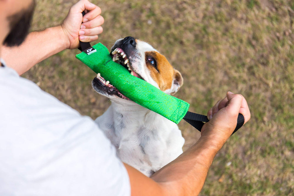 Bull Fit tug toy packaged and ready for order