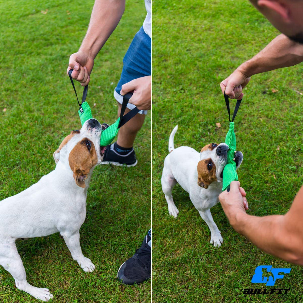 Bull Fit tug toy used for training exercises like fetch and prey-drive building
