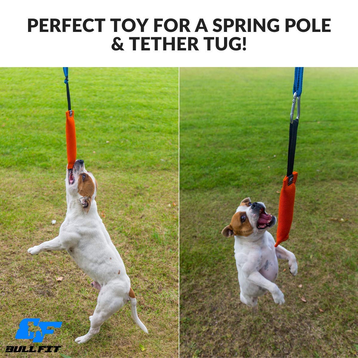 Bull Fit Tug Toy handle area illustrating safe handler use during games.